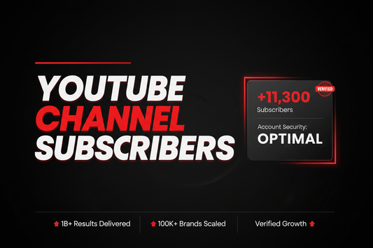YouTube Channel Subscribers