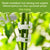 GreenGrip™ | Verbeter uw tuinervaring met gemak en vertrouwen!