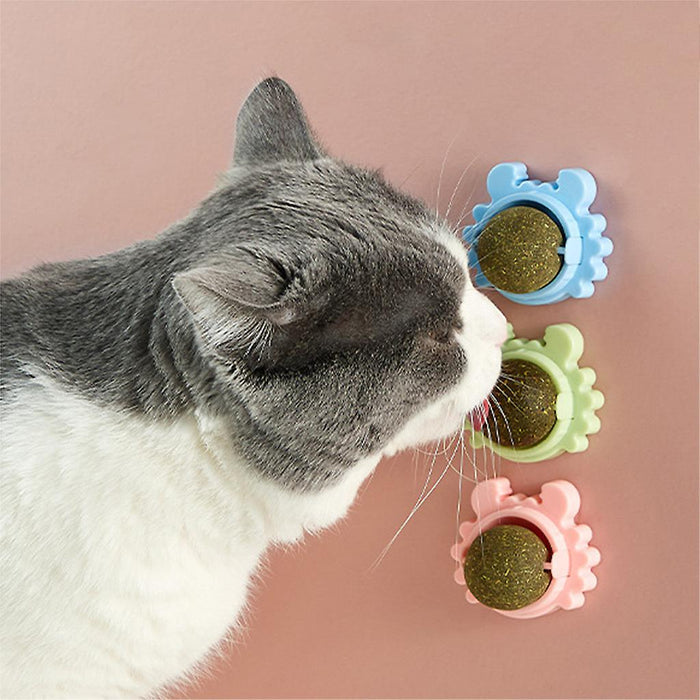 Interactive Catnip Treats™ | Een must-have eetbaar speeltje voor katten