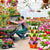Stackable Flower Pots™ | Maak je tuin visueel aantrekkelijk - Sorandi.nl