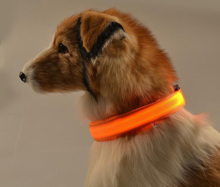 USB oplaadbare LED halsband voor honden - Sorandi.nl