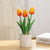 LED Tulip™ | Energiezuinige Led Tulp Lamp