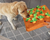Carrot Plush™ | Honden speelgoed dat helpt tegen verveling en verlatingsangst!